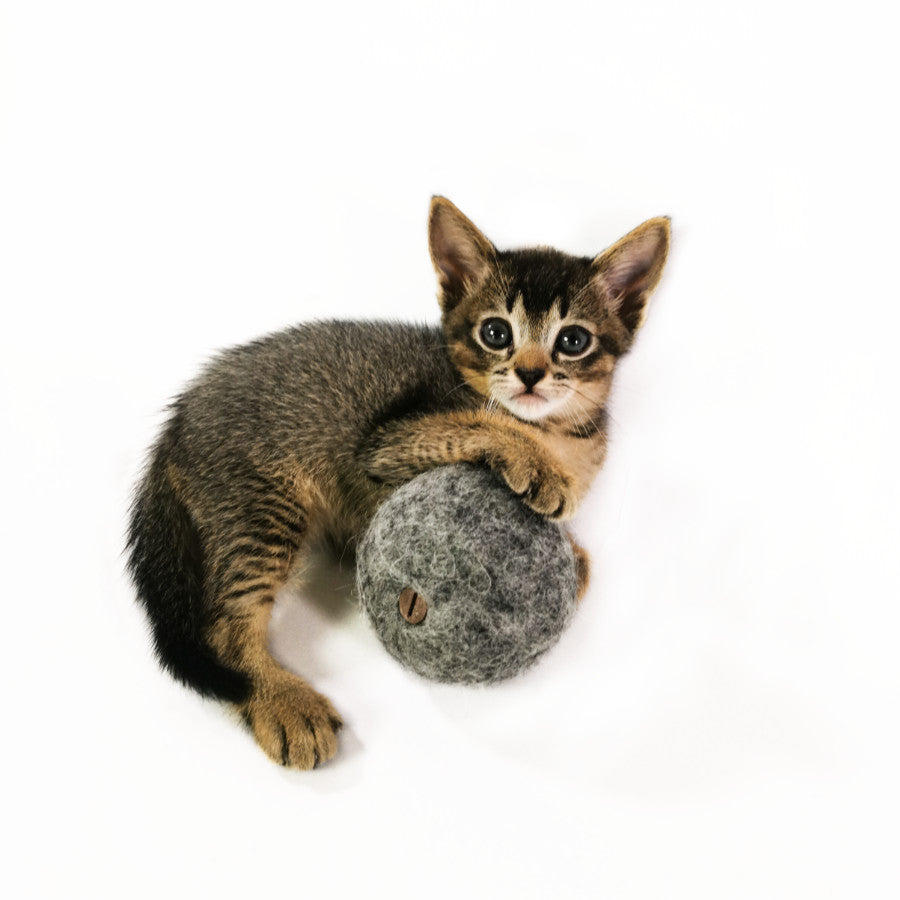 Filzball mit Glöckchen – mit Katzenminze befüllbar